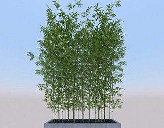 现代植物3D模型下载