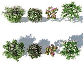 现代花3D模型下载