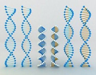 现代教学器材3D模型下载