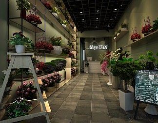 现代花店3D模型下载