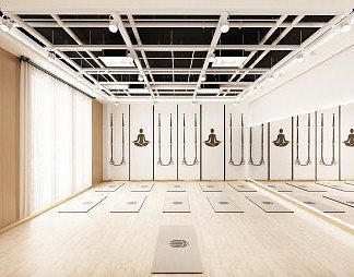 现代瑜伽室3D模型下载