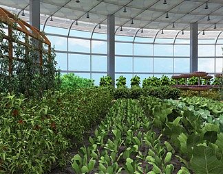 现代温室大棚3D模型下载