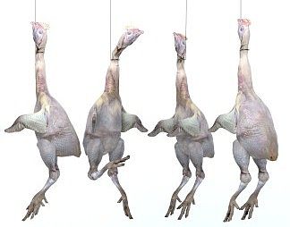 现代肉3D模型下载