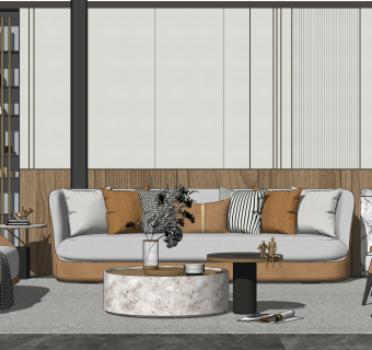 现代客厅 沙发茶几组合