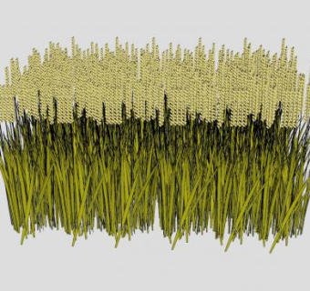 粮食农作物稻谷子小麦SU模型下载_sketchup草图大师SKP模型