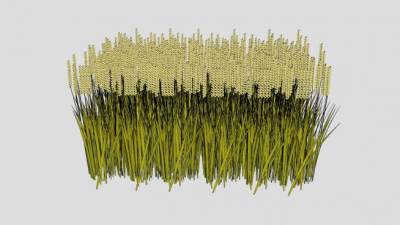 粮食农作物稻谷子小麦SU模型下载_sketchup草图大师SKP模型