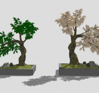迎客松盆景树SU模型下载_sketchup草图大师SKP模型