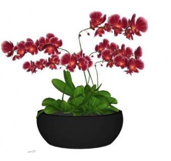 观赏花卉盆栽摆件SU模型下载_sketchup草图大师SKP模型