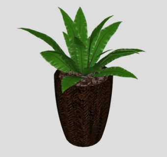 观叶花盆植物盆栽SU模型下载_sketchup草图大师SKP模型