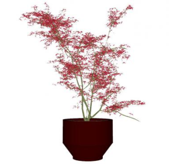 日本枫树盆栽植物SU模型下载_sketchup草图大师SKP模型