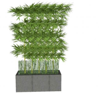 客厅盆栽竹子盆景植物SU模型下载_sketchup草图大师SKP模型