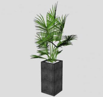 室内摆放的花盆盆栽植物SU模型下载_sketchup草图大师SKP模型