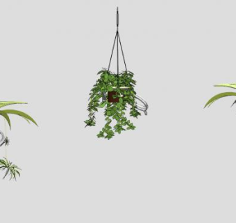 室内吊篮植物装饰SU模型下载_sketchup草图大师SKP模型