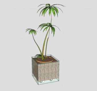 方形玻璃盆栽植物SU模型下载_sketchup草图大师SKP模型