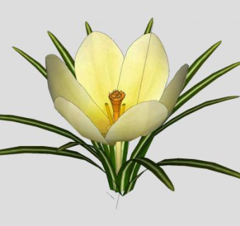 小黄花花朵植物SU模型下载_sketchup草图大师SKP模型