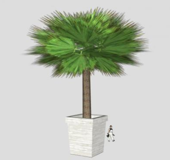 花盆盆栽小树SU模型下载_sketchup草图大师SKP模型