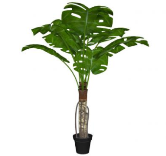 大龟背竹盆栽景观SU模型下载_sketchup草图大师SKP模型