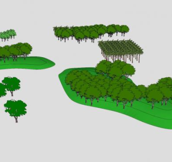 景观常用的2D树小集合SU模型下载_sketchup草图大师SKP模型