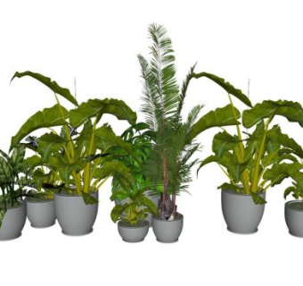3D盆景植物系列SU模型下载_sketchup草图大师SKP模型