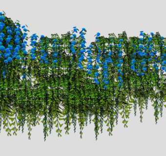 紫藤爬山虎爬藤植物SU模型下载_sketchup草图大师SKP模型