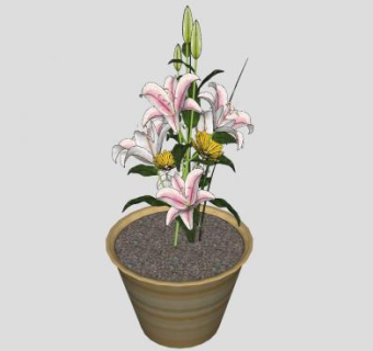 普通的陶瓷花盆植物SU模型下载_sketchup草图大师SKP模型