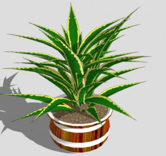 金边龙舌兰盆栽植物SU模型下载_sketchup草图大师SKP模型