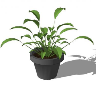 普通办公室盆栽植物SU模型下载_sketchup草图大师SKP模型