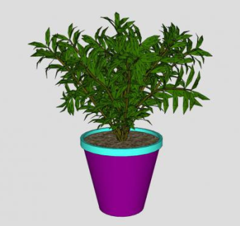 紫色花盆盆栽植物SU模型下载_sketchup草图大师SKP模型