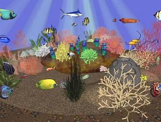 海底世界海鱼珊瑚海星SU模型下载_sketchup草图大师SKP模型