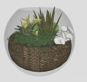 装饰圆形玻璃盆栽SU模型下载_sketchup草图大师SKP模型