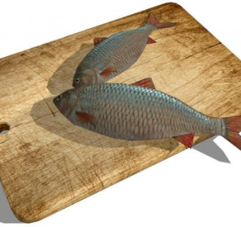 木砧板SU模型下载_sketchup草图大师SKP模型