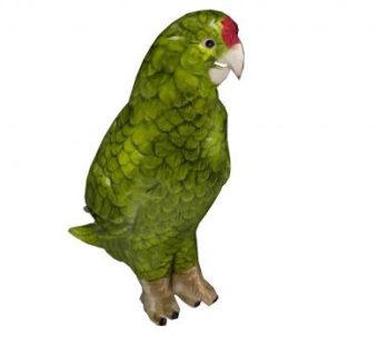 鹦鹉鸟SU模型下载_sketchup草图大师SKP模型