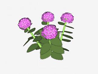 紫色花属植物SU模型下载_sketchup草图大师SKP模型