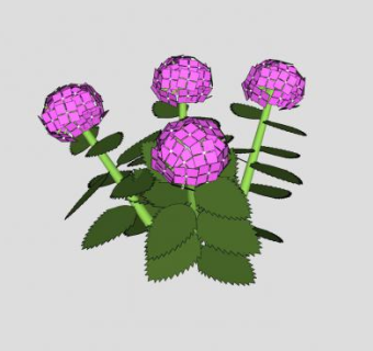 紫色花属植物SU模型下载_sketchup草图大师SKP模型