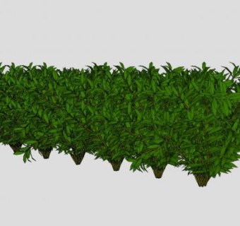 灌木植物绿化带SU模型下载_sketchup草图大师SKP模型