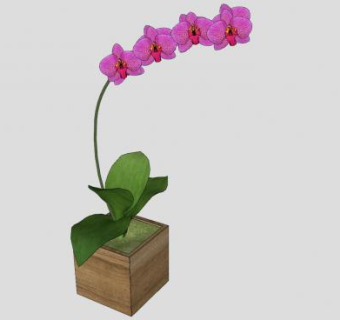 紫色植物木盆栽SU模型下载_sketchup草图大师SKP模型