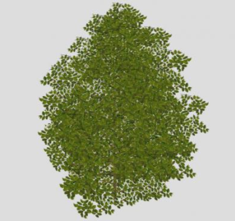 景观美化灌木SU模型下载_sketchup草图大师SKP模型