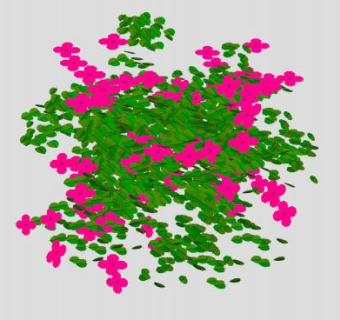 天竺葵花卉植物SU模型下载_sketchup草图大师SKP模型