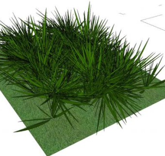 绿地草丛SU模型下载_sketchup草图大师SKP模型