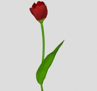 红色郁金香花SU模型下载_sketchup草图大师SKP模型