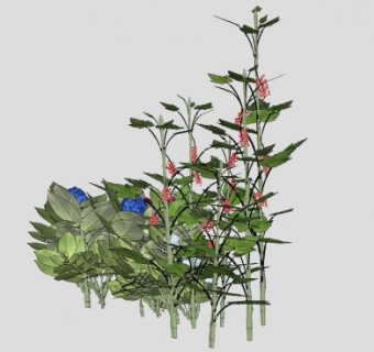 花属植物和醋栗SU模型下载_sketchup草图大师SKP模型