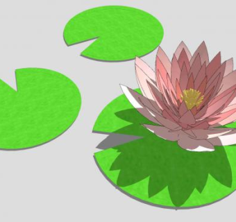 荷叶和睡莲SU模型下载_sketchup草图大师SKP模型