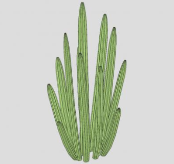 仙人掌SU模型下载_sketchup草图大师SKP模型