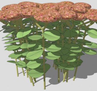 景天属植物SU模型下载_sketchup草图大师SKP模型