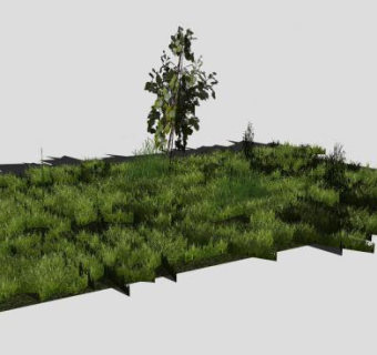草坪SU模型下载_sketchup草图大师SKP模型
