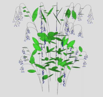蓝莓浆果果树SU模型下载_sketchup草图大师SKP模型