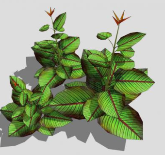 美人蕉草本植物SU模型下载_sketchup草图大师SKP模型