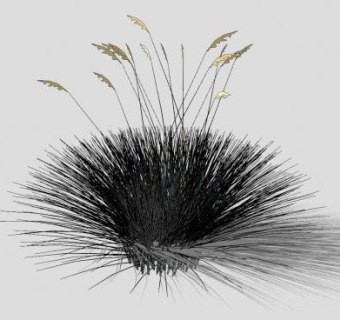 多年生草本SU模型下载_sketchup草图大师SKP模型