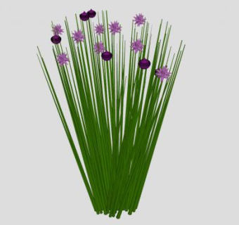 虾夷葱植物SU模型下载_sketchup草图大师SKP模型