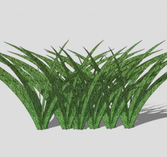 几株草SU模型下载_sketchup草图大师SKP模型